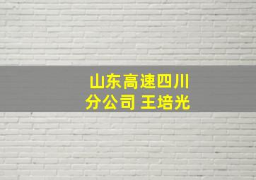 山东高速四川分公司 王培光